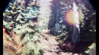 BoneField:  Bodycam Horror Demo