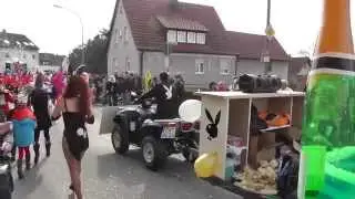 Faschingszug Oberhaid 2014