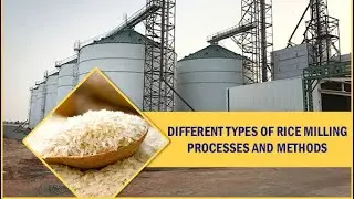 Advanced Rice/Flour Milling Machine