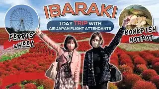 【Vol5:Ibaraki】The Autumn amazing view in Japan【The Four Seasons Scenes】