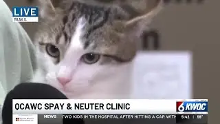 Drive-up pet clinic keeps QC pets healthy without breaking the bank