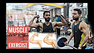GYM MOTIVATION SPEECH 💯 & Bicep Muscle Building Exercise 💪🔥 #bodybuilding #gymmotivation #biceps