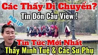 Trực Tiếp Tin Tức Mới Nhất Thầy Minh Tuệ & Các Sư Phụ | L.Q.Hà Làm Pháp Lý? Toàn Cảnh Ngày Cuối 31/1