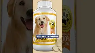 Arthritis in Pets: What products can you use? 🐾🌿