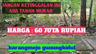 TANAH MURAH HANYA BERJARAK 50 METER DARI SMA NEGRI HARGA 60 JUTA RUPIAH