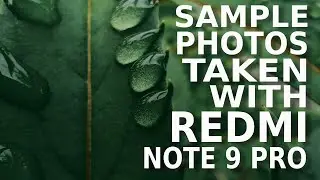 Sample Photos Taken with REDMI NOTE 9 PRO