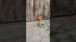 #monkey