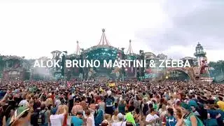 Alok, Bruno Martini - Hear Me Now ft. Zeeba (Sub Espa&ntilde;ol)