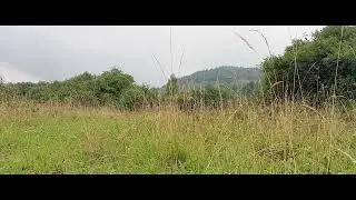 Żurawnica Mountain Light Fog Day View Relaxation Meditation Nature (Mountains South of Poland)