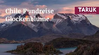 Chile Reise: Glockenblume - Atacama-W&uuml;ste bis Patagonien | Kurzfilm
