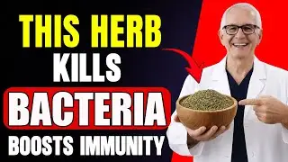 The Most Powerful Natural Antibiotic That Boosts Immunity for Seniors 60+ Instantly