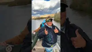 Река Сан-Хуан, ноябрьское обновление #рыбалка #sanjuanriver #newmexico #trout #abouttrout #flyfis...