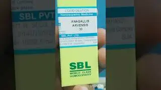 Anagallis Homoeopathy Medicine #shorts #shortsfeed #shortsvideo #anagallis #homoeopathy