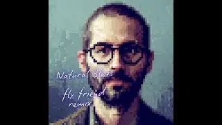 Moby - Natural Blues (fly friend remix)