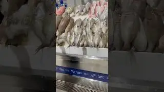 Dubaii Fish market#livefishcutting#saleislive#shortsvideo