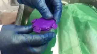 how package bee venom from BeeWhisper collector