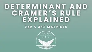 Determinants & Cramer’s Rule Explained | Easy Step-by-Step Tutorial