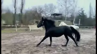 Девчонки жгут💥