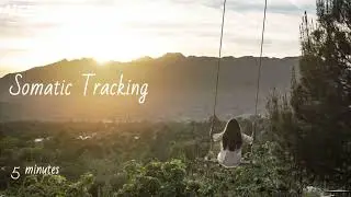 Somatic Tracking: 5 minutes