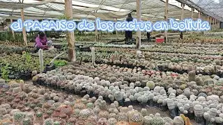 Visitamos al sr Jhon en cochabamba