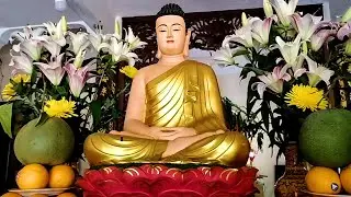 Tối 25 Âm Tụng Kinh Sám Hối Rất Linh Ứng Hết Bệnh Giãm Đau Sức Khỏe Bình Phục Tiền Vào Chật Két !