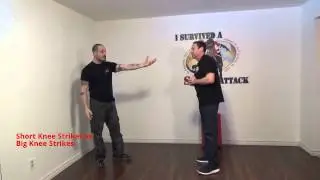 Knee Strikes In Self Defense