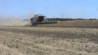 r76 cutting beans