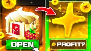 CAN WE PROFIT WITH THE *NEW* CASES ON RAIN.GG *CRAZY CASE BATTLES*