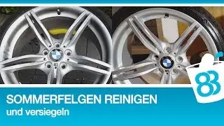 Sommerfelgen reinigen und versiegeln nach der Demontage im Winter - Felgen komplett aufbereiten