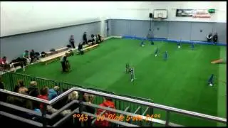 Agility German Classics 2014 - Mona Grefenstein & Page van Nikaron