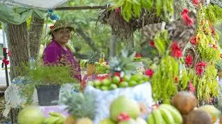 French Polynesia on a Shoestring: Top Budget-Friendly Travel Tips