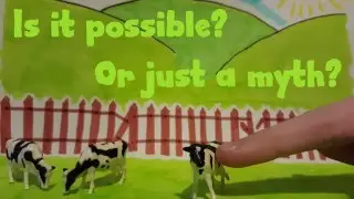Can you tip a cow? | MathsBusters