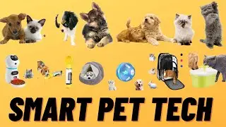 Smart Pet Tech For Your Home in 2021, Best Gift For Pets.