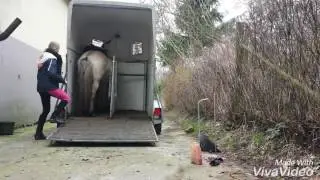 Verlade-Training