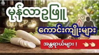 ရောဂါ ၉၆ ပါး သက်သာစေတဲ့ အာရှတိုက်ရဲ့ သက်ရှည်ဆေး (လူတိုင်းနဲ့မတည့်ပါ) | White Radishes - Daikon
