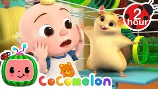 Jellybean&rsquo;s Amazing Race! 🏁 Family Adventure Song for Kids + MORE CoComelon Nursery Rhymes