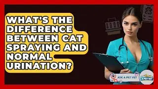What's The Difference Between Cat Spraying And Normal Urination? - Ask A Pet Vet