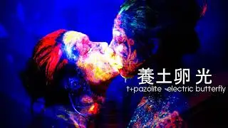 t+pazolite - Electric Butterfly