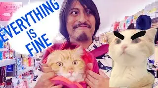 WELCOME TO OUR CHANNEL! | ADVENTURE CATS