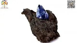 Complete Astrological Guide to Blue Sapphire (Neelam) Qualities, Benefits & Authentic Identification