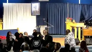 Live Stream