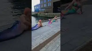 Merfolk on the Ocean Steps #mermaid #merpeople
