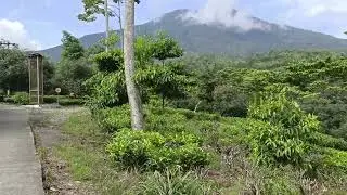 PESONA KEBUN TEH DAYEUH MANGGUNG GARUT