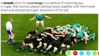 RUGBY FIELD MARKINGS AND THEIR FUNCTIONS