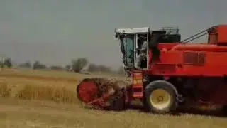 Farmers at Work | Stunning Village Environment | The best example of Team Work and Joint Family