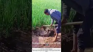 Directing the Flow: Using a Hoe to Irrigate a Field 💧