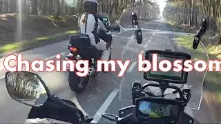 Blossom Ride, March 2022