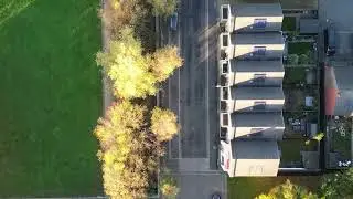 Autumn flight