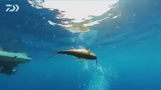 SALTIGA SJ FS Rod || DAIWA