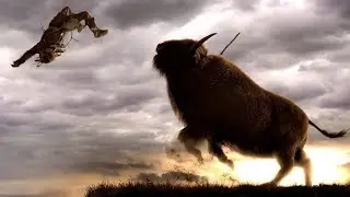 Alpha Movie Bull Fight Scene 2019